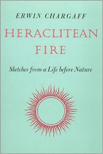 Heraclitean Fire