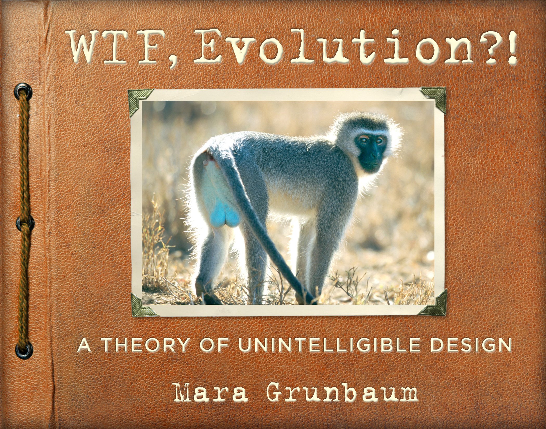 Wtf, Evolution!?